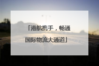 港航携手，畅通国际物流大通道