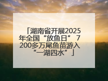 湖南省开展2025年全国“放鱼日” 7200多万尾鱼苗游入“一湖四水”