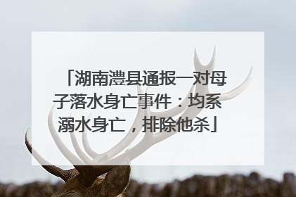 湖南澧县通报一对母子落水身亡事件：均系溺水身亡，排除他杀
