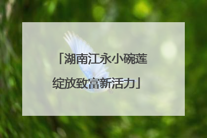 湖南江永小碗莲绽放致富新活力