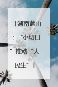 湖南蓝山：“小切口”推动“大民生”