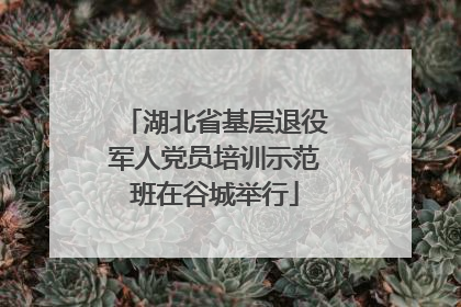 湖北省基层退役军人党员培训示范班在谷城举行