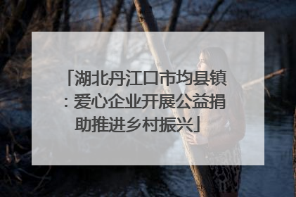 湖北丹江口市均县镇：爱心企业开展公益捐助推进乡村振兴