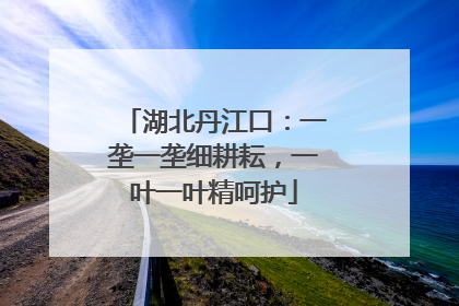 湖北丹江口：一垄一垄细耕耘，一叶一叶精呵护