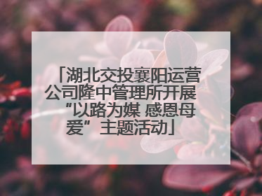 湖北交投襄阳运营公司隆中管理所开展“以路为媒 感恩母爱”主题活动