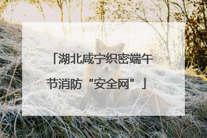 湖北咸宁织密端午节消防“安全网”