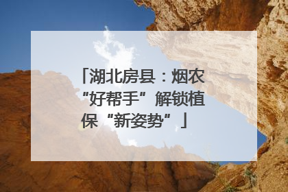 湖北房县：烟农“好帮手”解锁植保“新姿势”