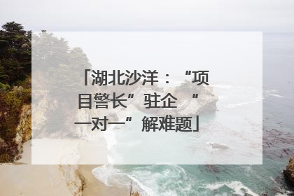 湖北沙洋：“项目警长”驻企 “一对一”解难题