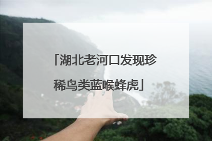 湖北老河口发现珍稀鸟类蓝喉蜂虎
