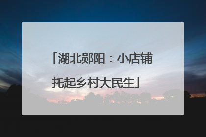 湖北郧阳：小店铺托起乡村大民生