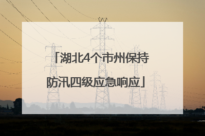 湖北4个市州保持防汛四级应急响应