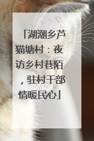湖潮乡芦猫塘村：夜访乡村巷陌，驻村干部情暖民心