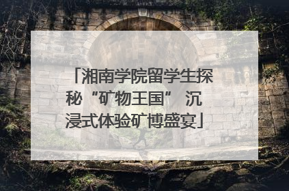 湘南学院留学生探秘“矿物王国” 沉浸式体验矿博盛宴