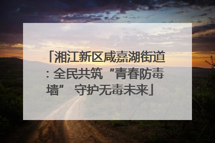 湘江新区咸嘉湖街道：全民共筑“青春防毒墙” 守护无毒未来