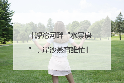 滹沱河畔“水景房”，崖沙燕育雏忙