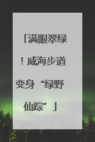 满眼翠绿！威海步道变身“绿野仙踪”