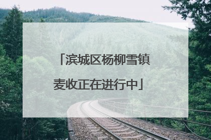 滨城区杨柳雪镇麦收正在进行中