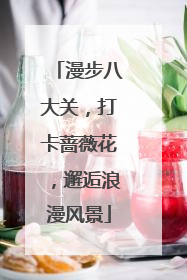 漫步八大关，打卡蔷薇花，邂逅浪漫风景