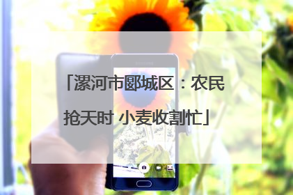 漯河市郾城区：农民抢天时 小麦收割忙