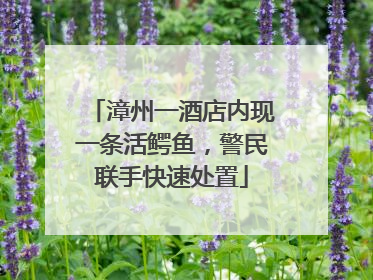 漳州一酒店内现一条活鳄鱼，警民联手快速处置
