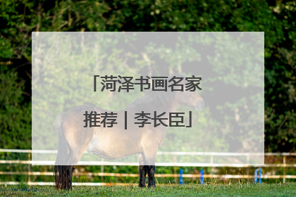 菏泽书画名家推荐｜李长臣