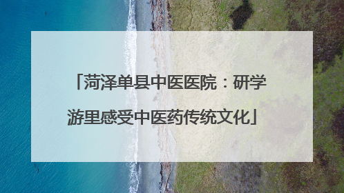 菏泽单县中医医院：研学游里感受中医药传统文化