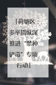 荷塘区：多举措纵深推进“禁种铲毒”专项行动