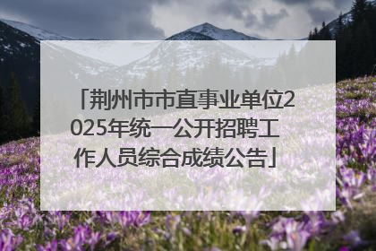 荆州市市直事业单位2025年统一公开招聘工作人员综合成绩公告