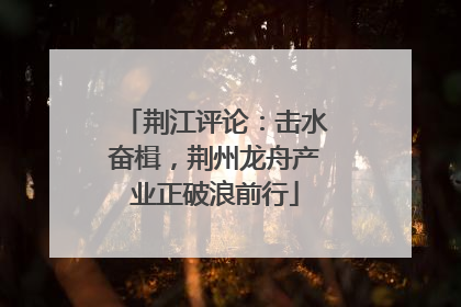 荆江评论：击水奋楫，荆州龙舟产业正破浪前行