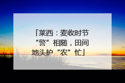 莱西：麦收时节“警”相随，田间地头护“农”忙