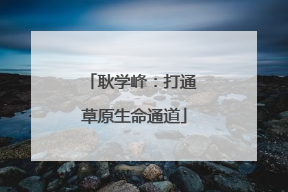耿学峰：打通草原生命通道