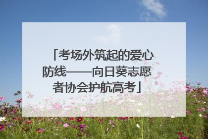 考场外筑起的爱心防线——向日葵志愿者协会护航高考