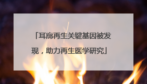 耳廓再生关键基因被发现，助力再生医学研究
