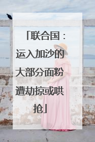 联合国：运入加沙的大部分面粉遭劫掠或哄抢