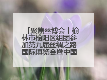 聚焦丝博会丨榆林市榆阳区组团参加第九届丝绸之路国际博览会暨中国东西部合作与投资贸易洽谈会