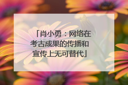 肖小勇：网络在考古成果的传播和宣传上无可替代