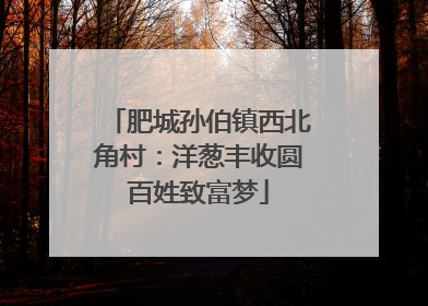 肥城孙伯镇西北角村：洋葱丰收圆百姓致富梦
