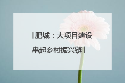肥城：大项目建设串起乡村振兴链