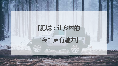 肥城：让乡村的“夜”更有魅力