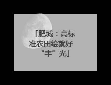 肥城：高标准农田绘就好“丰”光
