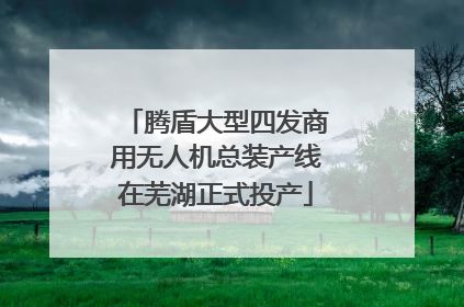 腾盾大型四发商用无人机总装产线在芜湖正式投产