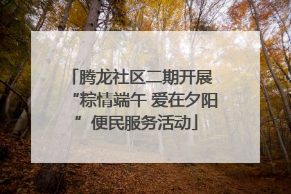 腾龙社区二期开展 “粽情端午 爱在夕阳”便民服务活动