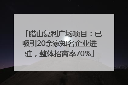 腊山复利广场项目：已吸引20余家知名企业进驻，整体招商率70%
