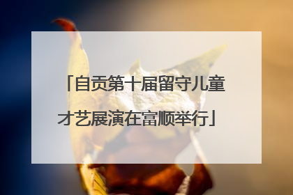 自贡第十届留守儿童才艺展演在富顺举行