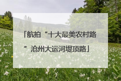 航拍“十大最美农村路”沧州大运河堤顶路