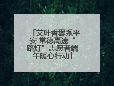 艾叶香囊系平安 常德高速“路灯”志愿者端午暖心行动