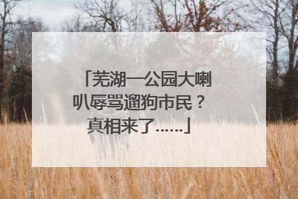 芜湖一公园大喇叭辱骂遛狗市民？真相来了……