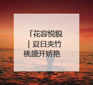 花容悦貌｜夏日夹竹桃盛开娇艳繁花，但观赏时“碰不得”