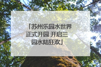 苏州乐园水世界正式开园 开启三园水陆狂欢