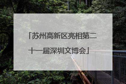 苏州高新区亮相第二十一届深圳文博会